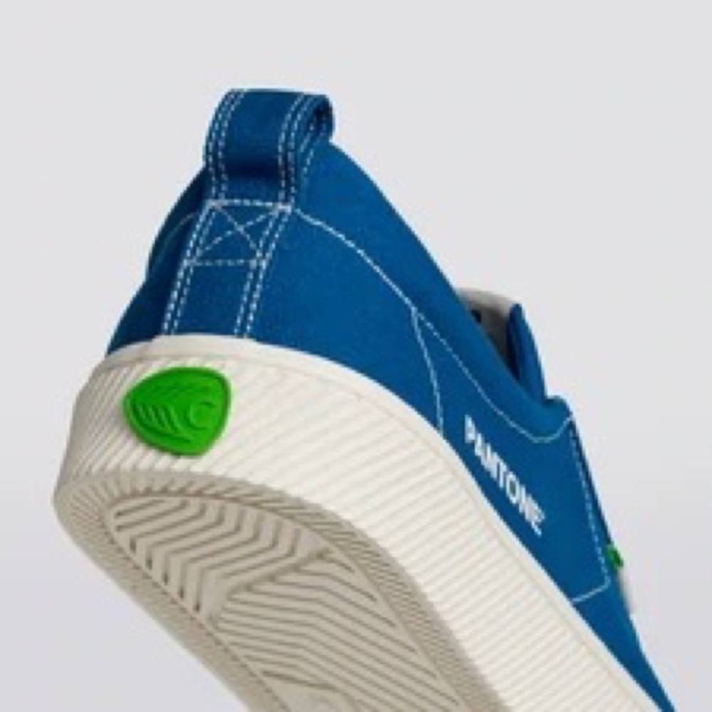 Blue Canvas Sneakers - Picture 4 of 10